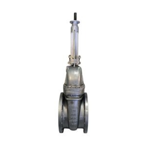 Cast Carbon Gate Valve