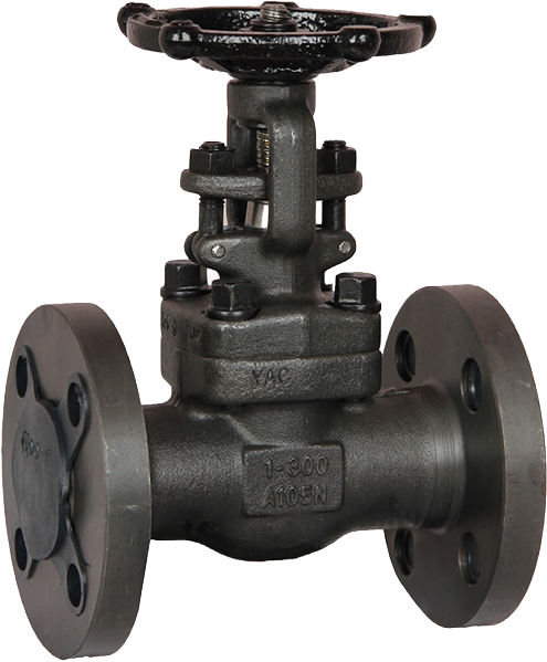 Forged Gate Valve — Flanged (Carbon Steel)