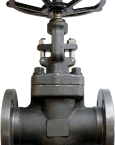 Forged Globe Valve — Flanged (Carbon Steel)