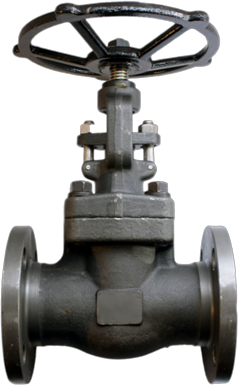 Forged Globe Valve — Flanged (Carbon Steel)